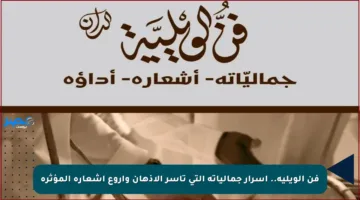 فن الويلية.. أسرار جمالياته التي تأسر الأذهان وأروع أشعاره المؤثرة